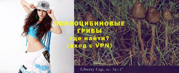 спиды Алзамай