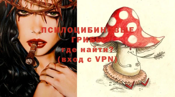 герыч Алексин